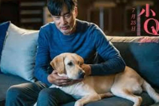 Eternos Companheiros: Uma história de superação e lealdade no Prime Video -  (crédito: Obeservatório da TV)