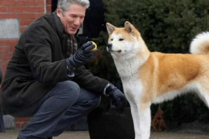 A comovente história real de lealdade entre homem e cão -  (crédito: Obeservatório da TV)
