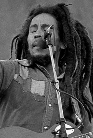 Ele foi cantor, compositor e guitarrista. Marley morreu precocemente, aos 36 anos, e teve apenas 18 anos de atividade profissional, mas deixou um legado inesquecÃ­vel. 