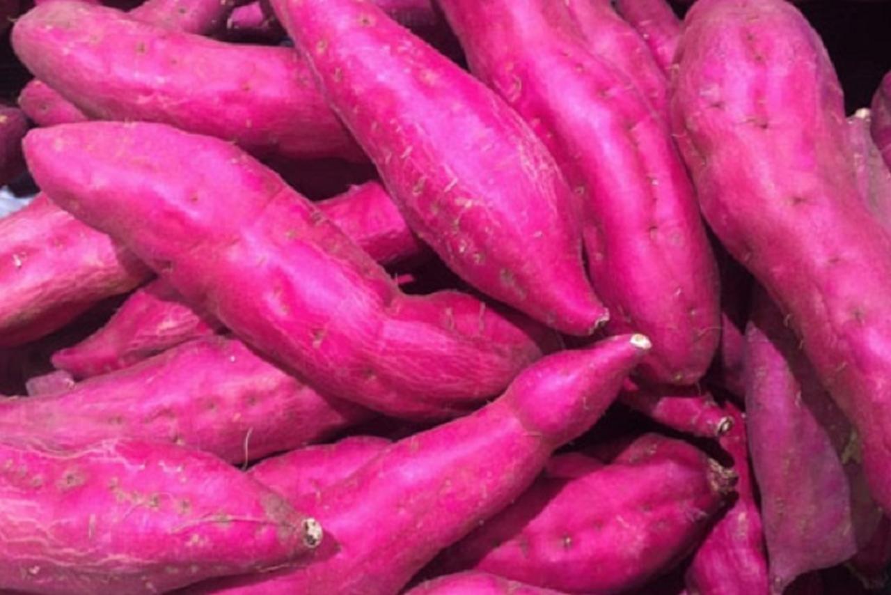 A batata-doce também é uma aliada no ganho de massa muscular, tornando-se uma escolha ideal para quem deseja fortalecer o corpo de forma saudável.