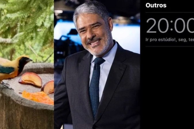 ‘Vida mais suave’: como foram os primeiros dias de Bonner fora do JN -  (crédito: Observatório dos Famosos)