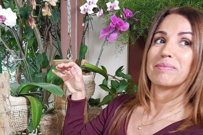 Saiba o verdadeiro estado da repórter da Globo que caiu da escada -  (crédito: Obeservatório da TV)