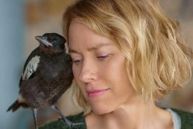 Um Milagre Inesperado no Prime Video: Filme baseado em história real explora superação e união familiar -  (crédito: Obeservatório da TV)