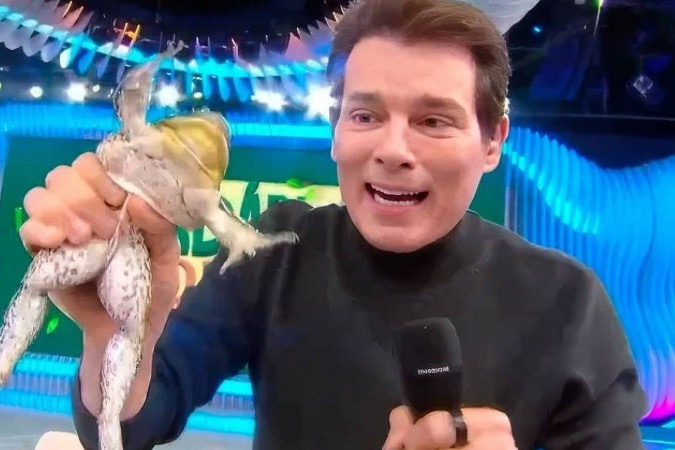 Celso Portiolli vira alvo de investigação pelo MP após suposto maus-tratos a animal -  (crédito: Observatório dos Famosos)