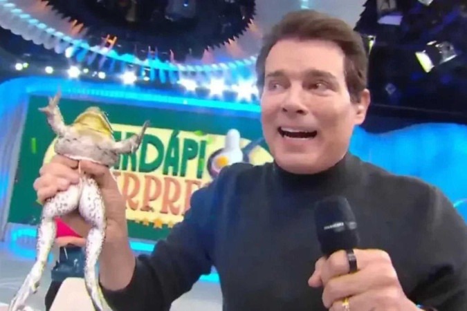 Celso Portiolli e SBT são investigados por maus-tratos a animal -  (crédito: Obeservatório da TV)