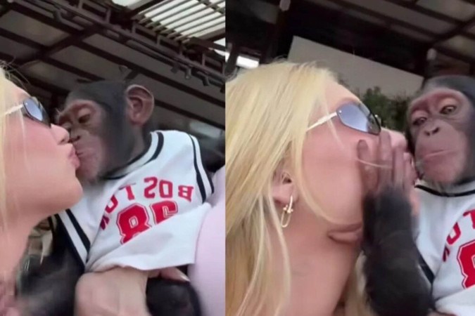 VÍDEO: Virginia Fonseca beija macaco durante passeio em Dubai e atitude gera polêmica -  (crédito: Observatório dos Famosos)